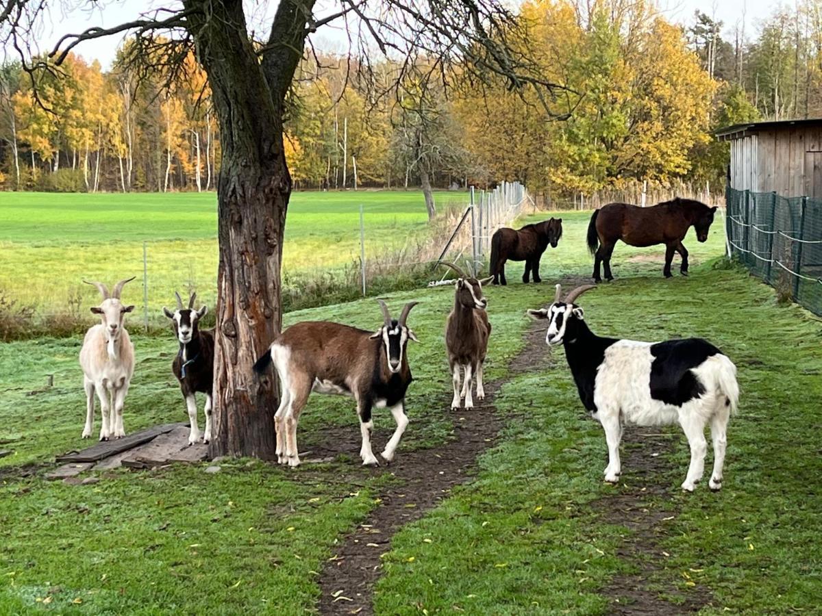Ferienhof Olbasee Kleinsaubernitz 외부 사진