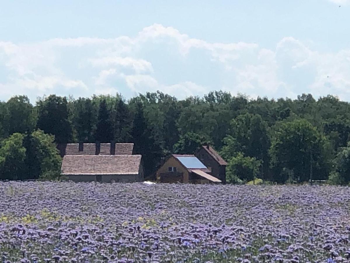 Ferienhof Olbasee Kleinsaubernitz 외부 사진