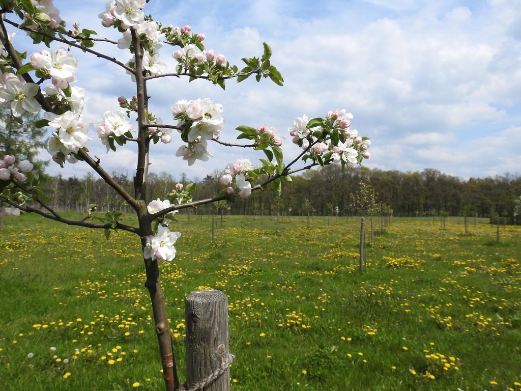 Ferienhof Olbasee Kleinsaubernitz 외부 사진